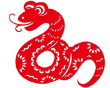 1989�����������ô�� ���ǵ�����ְҵ��������