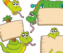 �ε����������ξ����� �������������˵�˼��