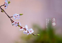 2016�������֣�2016�������İ��ַ���