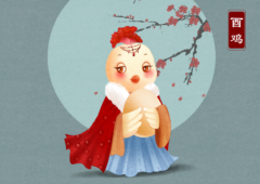 1993�������İ�����Ե���������1993��������Ѱ���Ҹ�