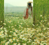 ʲô�Ǵ�С�� ���ڽ���������֪ʶ