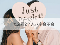 �����˵İ��ֺϲ����ʣ����ֺϲ�������Ҫ��ʲô