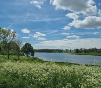 ������ӡŮ�������ƺõ�����