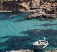 ������ʷ������ ��¼����Ĺ���