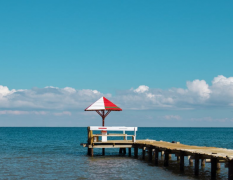 �㶫��ʳ���У��㶼֪������Щ�أ�