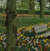 ��ʲô���¿��Ըı���Ե������С���ɻ����ܰﵽ�㣡