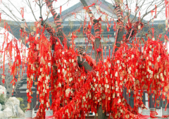 93ǩ�����Ե��93Ǯ����Ե����