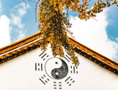 ʲô�ǰ����������֣���������������ЩӦ��