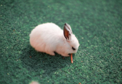 2023�������°���Ҫ�������� ������������