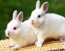 ���������õ��������ֱַ�����Щ һЩ��Ȥ����Ф֪ʶ