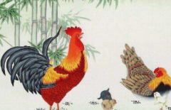 ������Ļ���������