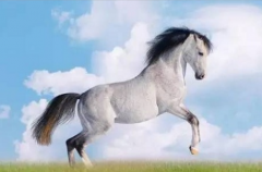 2023�������˵�ȫ������Ů�� ��������ζȹ���һ��