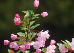 �����������һ��ı���ͨ����������