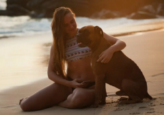 �����İ��ַ��������������Ը�һ�������