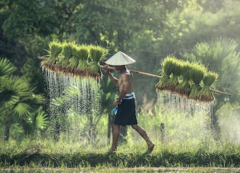 ����ε�������ԩ����˵ �ξ�����������