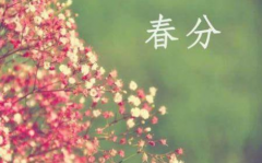 ���ֽ����ĺ�����ʲô����һ����ʲô��Ҫ��ʾ