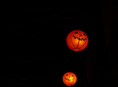 ���ε��������ҧ ����ε��ں�����ʾ