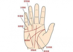 ���˵�Ǯ���˿��ĸ��֣���ô�Բ�Ǯ����