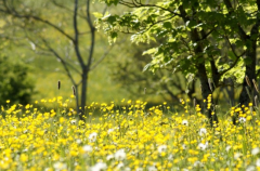 �˹ټ����ּ��ƣ���Ҫע�������