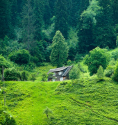 �ε�������ѧУ�ĸ��� ��������ʵ��Ȼ�෴