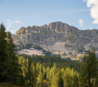 2024�������ϻ������� ��һ��ĻƵ�����