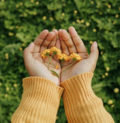 �����ε��Ҵ�����Ǯ��ʲô���壬̽Ѱ�ξ��Ĵ�