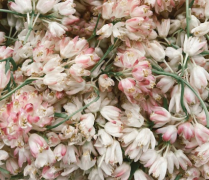 ����ʱ����ʲôʱ�򣬹���ʱ��������ʲô