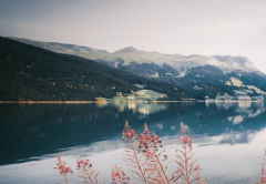 �����ε������ǹ�ҧ��Ԣ�� Ӧ���ξ��ļ���