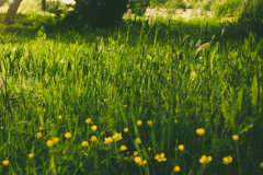 ��î�л�����̽�� ��î����Ҫע��ʲô