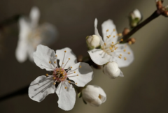 87����88��Ů������Σ�Ӧ����ôά���û���