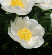 ������������3����ФŮ��ʲô�Ը�������׶���