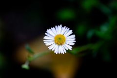 ������������һ���� ��������Ĵ�ͳ