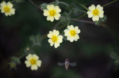 ����Ů������ע������ ���ѡ���Լ��İ���