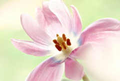 ����ε�������׷ҧ ���Ӧ������ξ��ķ���