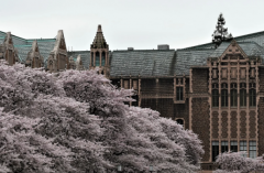 ��α���ƴ�� �ú���ƴ���ߵø�Զ