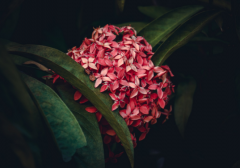 ���ֽ���ʱ�����߲�ѯ����֪������Щ��ѯ������