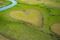 ��ʳ�Ļ����й�����ʳ�ص�����Щ