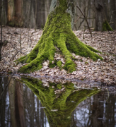 1978������Ů�Ļ�����һλ1978������Ů����ʾ