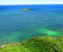 ������Ԫʲô��˼�� ������Ԫ����������