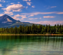 �ε�����ҧ�˸첲 �����ξ���Ԣ������Щ