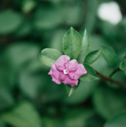 �й�ʮ��ͳʳ������Щ�� �����й���ʳ�Ļ��ļ��