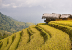 �һ����������� ����������������