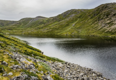 �μ��Լ������˴���ʲô ����ε�Ԣ��ͽ��η���