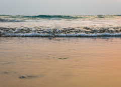 ���ְ�����һ���˵İ�����������