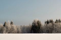 ���ֿ��������ƣ���Щ���ֵ�Ů�������˲���