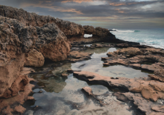 ����˯���ε��������˽������������ξ��ò���