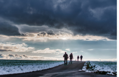 ��ʳ��ĳ��У��㶼֪������Щ��