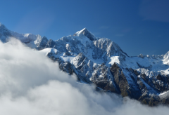 ������ô������������ѧ����