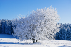 ��ţ�к�ˮƿŮ�Ļ�����ô���������ڻ�����Ӧ�����ȥ�ദ