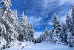 ��ҹ�ε���ҧ�Ŵ�����ʲô��Ҫ���Ӧ��